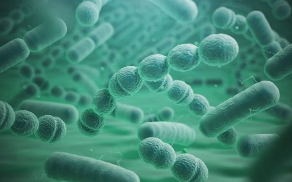 Gut Microbiome Dysbiosis: Symptoms, Causes, and Natural Strategies to Restore Balance