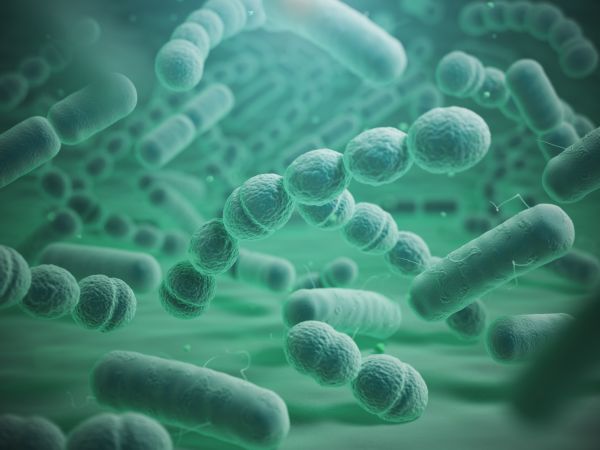 Gut Microbiome Dysbiosis: Symptoms, Causes, and Natural Strategies to Restore Balance