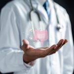 Intestinal Mucosa and Leaky Gut: Structure, Function, and Breakdown