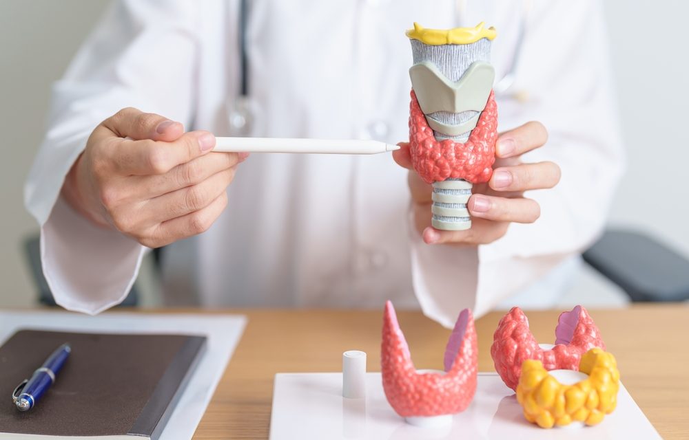 Hypothyroidism: A Commonly Missed Cause of Fatigue, Weight Gain, and Depression