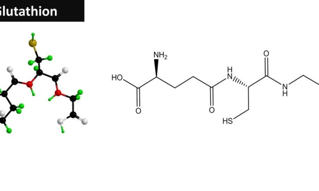 Why Glutathione Matters: The Link Between Detoxification and Chronic Disease