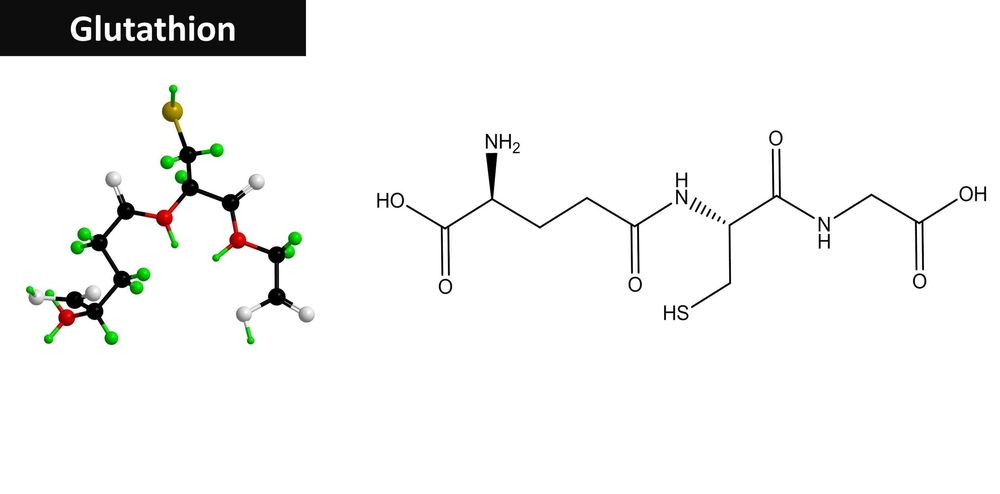 Why Glutathione Matters: The Link Between Detoxification and Chronic Disease