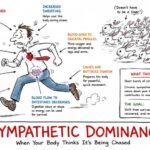 Your Body Thinks It’s Being Chased