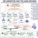 Inflammation Depletes GABA: Why Anxiety Gets Worse [Part 5 of 11]