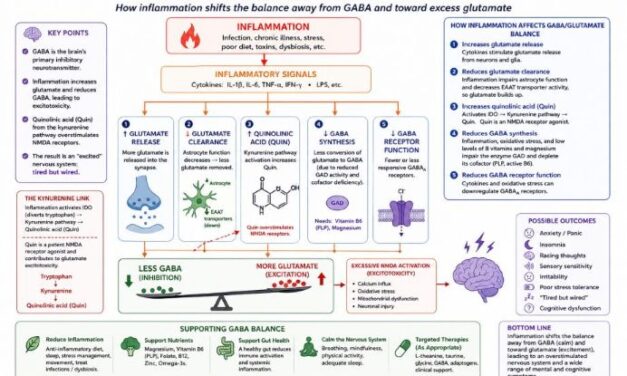 Inflammation Depletes GABA: Why Anxiety Gets Worse [Part 5 of 5]