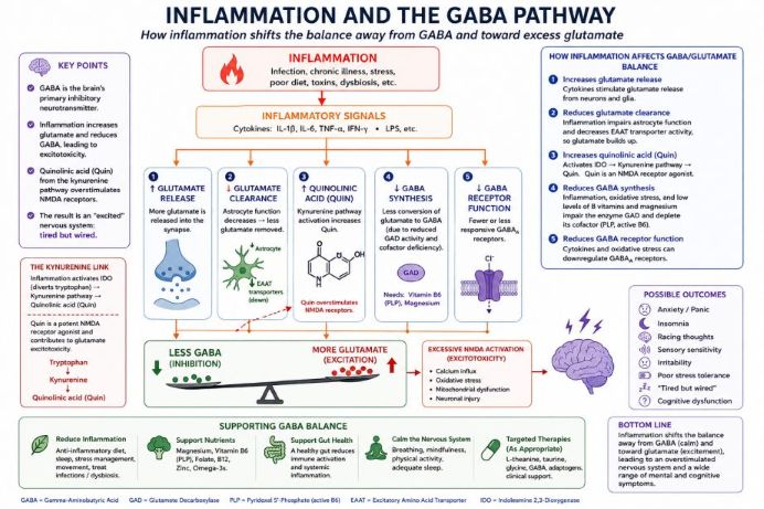 Inflammation Depletes GABA: Why Anxiety Gets Worse [Part 5 of 11]