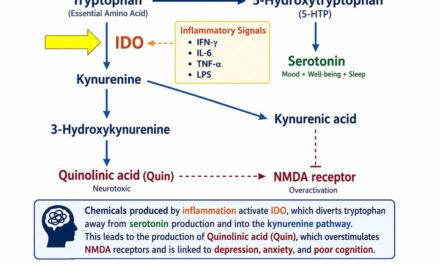 Inflammation Hijacks Neurotransmitter Production [Part 3 of 11]