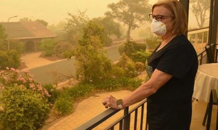 Heavy Smoke and COPD? Two Things That Give Your Lungs Extra Support