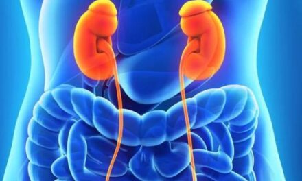 Can Berberine Help Protect Your Kidneys? What the Research Shows