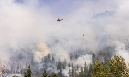 Heavy Smoke Outside? Here’s How to Help Protect Your Lungs