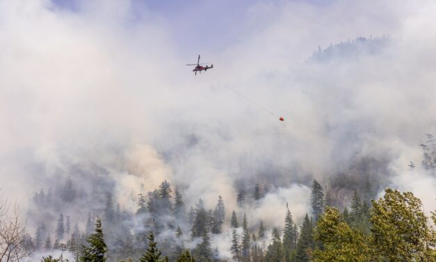 Heavy Smoke Outside? Here’s How to Help Protect Your Lungs