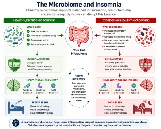 Insomnia and the Microbiome