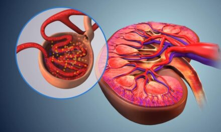 What Are Uremic Toxins?