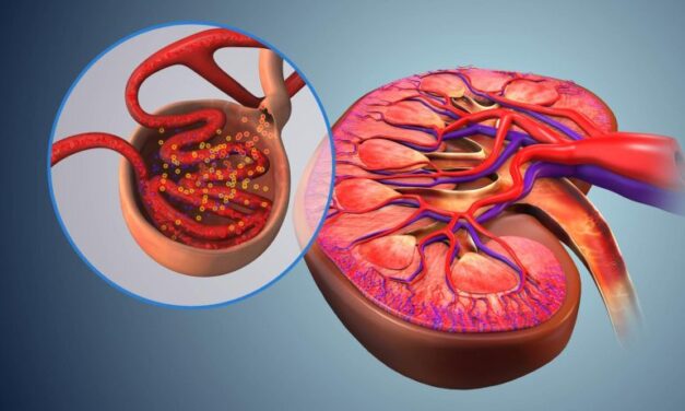 What Are Uremic Toxins?