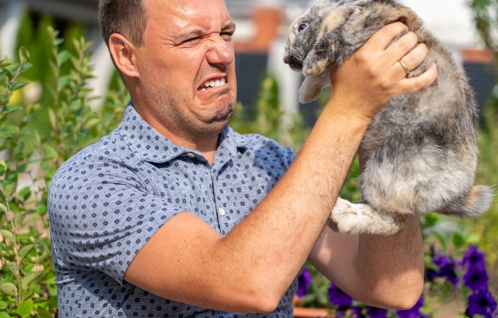 What Is Rabbit Fever?