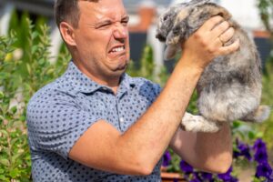 rabbit fever