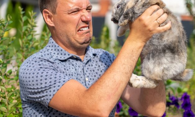 What Is Rabbit Fever?