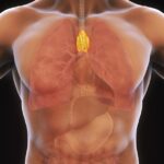 Hepatitis and Thymus Extract