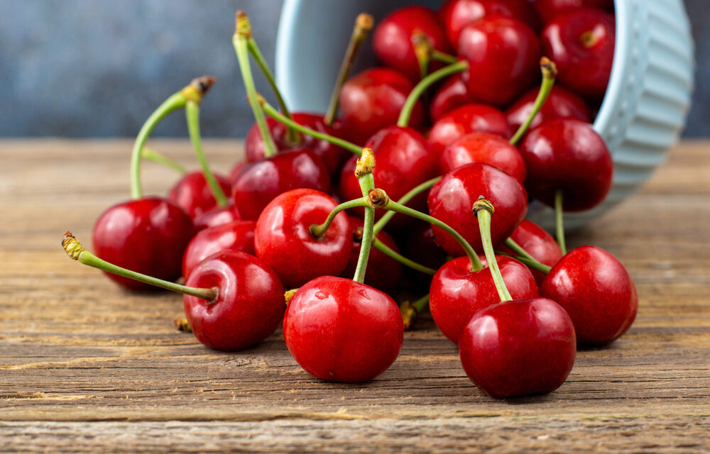 Exercise Pain? Tart Cherries May Help