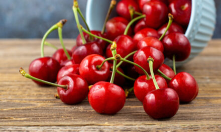 Exercise Pain? Tart Cherries May Help